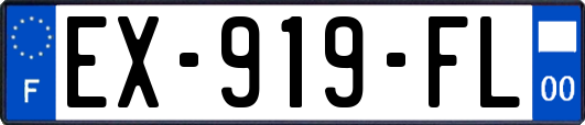 EX-919-FL
