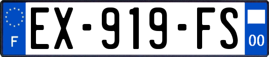 EX-919-FS