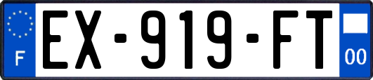EX-919-FT