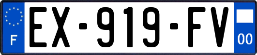 EX-919-FV