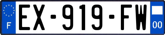 EX-919-FW