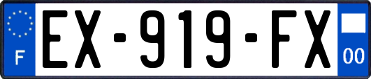 EX-919-FX