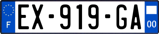 EX-919-GA