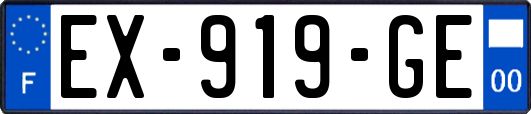 EX-919-GE