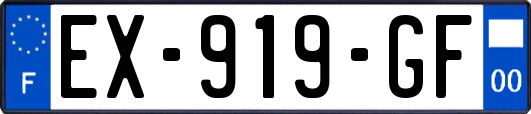 EX-919-GF