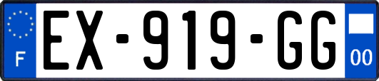 EX-919-GG