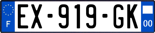 EX-919-GK
