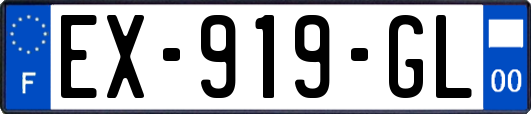 EX-919-GL