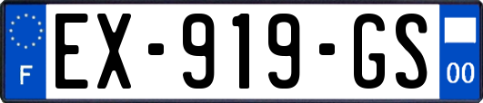 EX-919-GS