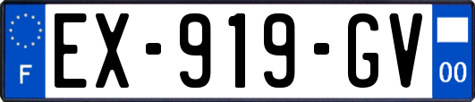 EX-919-GV
