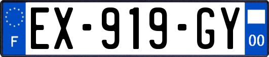 EX-919-GY