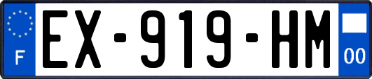 EX-919-HM