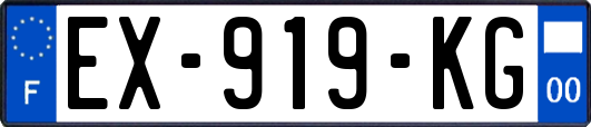 EX-919-KG