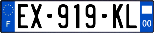 EX-919-KL