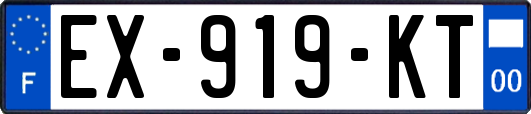 EX-919-KT