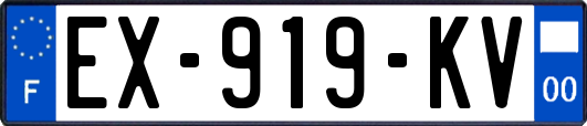 EX-919-KV