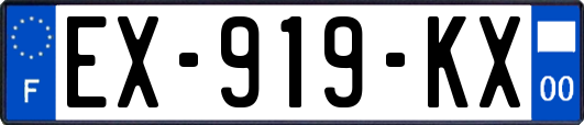 EX-919-KX
