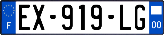 EX-919-LG