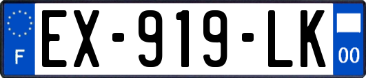EX-919-LK