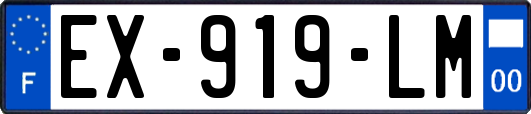 EX-919-LM