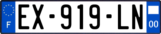 EX-919-LN