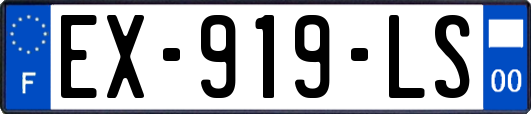 EX-919-LS