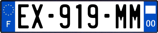 EX-919-MM