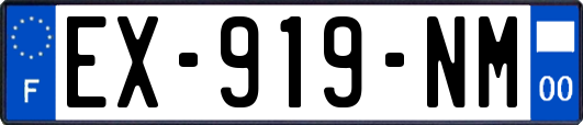 EX-919-NM