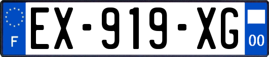 EX-919-XG
