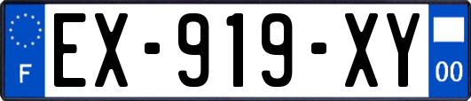 EX-919-XY