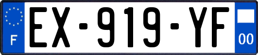 EX-919-YF