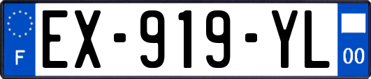 EX-919-YL