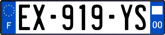 EX-919-YS