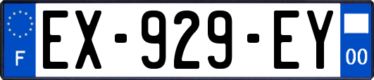 EX-929-EY