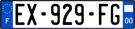 EX-929-FG