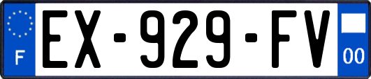 EX-929-FV