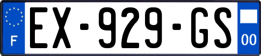 EX-929-GS