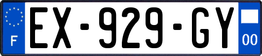 EX-929-GY