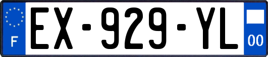 EX-929-YL