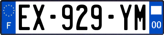 EX-929-YM