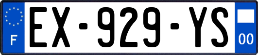 EX-929-YS