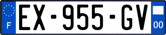 EX-955-GV