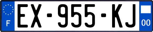 EX-955-KJ