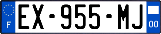 EX-955-MJ