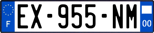 EX-955-NM