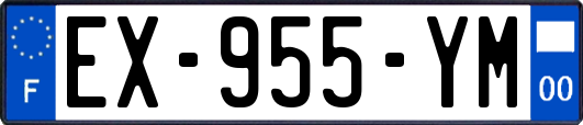 EX-955-YM