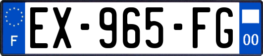 EX-965-FG