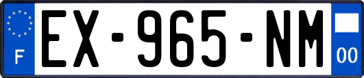 EX-965-NM