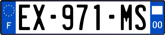 EX-971-MS