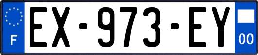 EX-973-EY